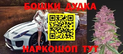сатива Жуковский