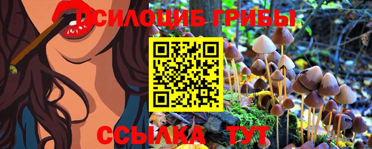 Метамфетамин  Вход с VPN  Марихуана  МЕФ кристаллы  Кушва  Кокаин  A-PVP СОЛЬ кристаллы  Гашиш 
