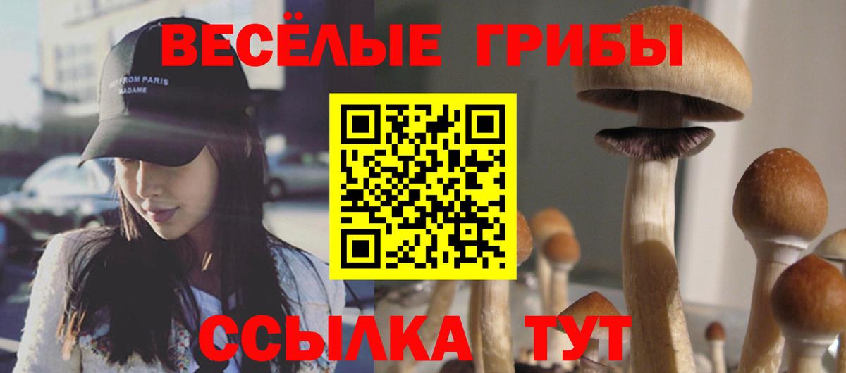 Кушва  Псилоцибиновые грибы Psilocybe  Вход с VPN 